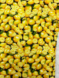 Oven mitts. Food. Lemons