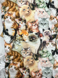 Oven mitts. Animals. Cats and Kittens