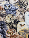 Oven mitts. Animals. Owls