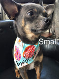 Plaid Dog bandanas. Multi coloured and bones plaid. Small, medium, large, fits ON the collar!