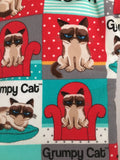Oven mitts. Pop Culture! Grumpy cat.