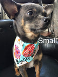 Dog bandanas. Animals. Ladybugs. Small, medium or large. It fits ON the collar!