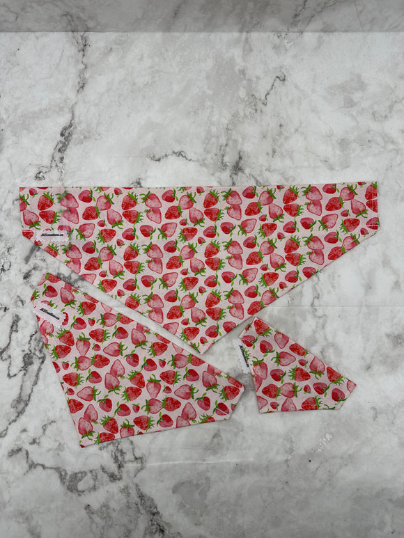 Dog bandanas. Food. Strawberries. Small, medium or large. It fits ON the collar!