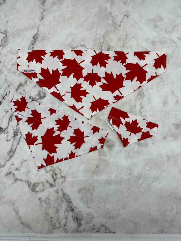 Dog bandanas! Lifestyle. Canada Day. Small, medium or large. It fits ON the collar!