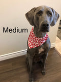 Dog bandanas. Lifestyle. Traditional bandana red. Small, medium, large, fits ON the collar!