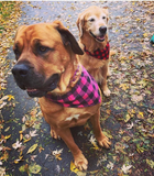 Plaid Dog bandanas. Dark pink plaid. Small, medium, large, fits ON the collar!