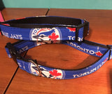 Dog collar, Blue Jays collar for your dog or puppy!
